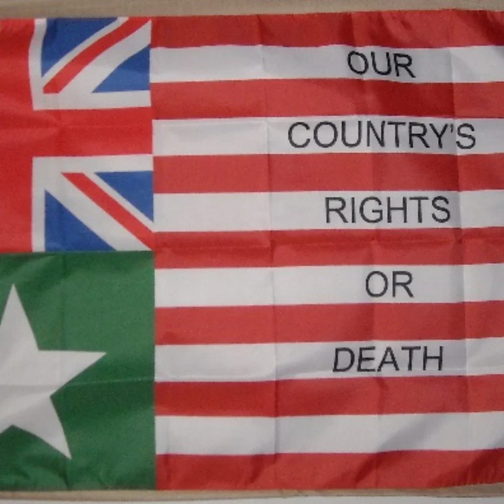 Baker's Battles of San Jacinto San Felipe Texas Revolution 3' x 5' Flag Banner